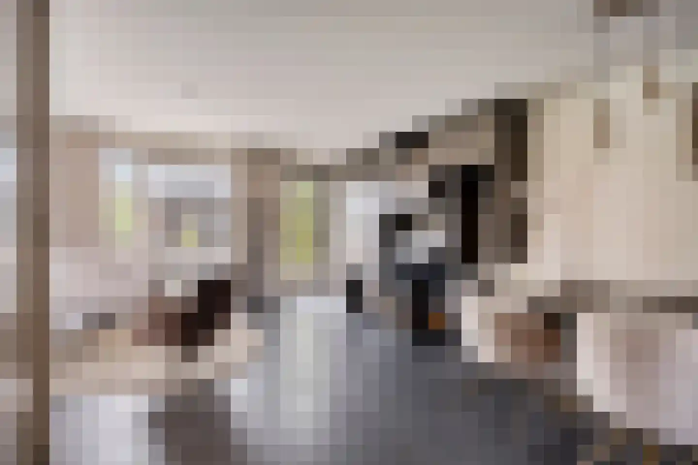Brahmalaan 1 Barneveld thumbnail 13