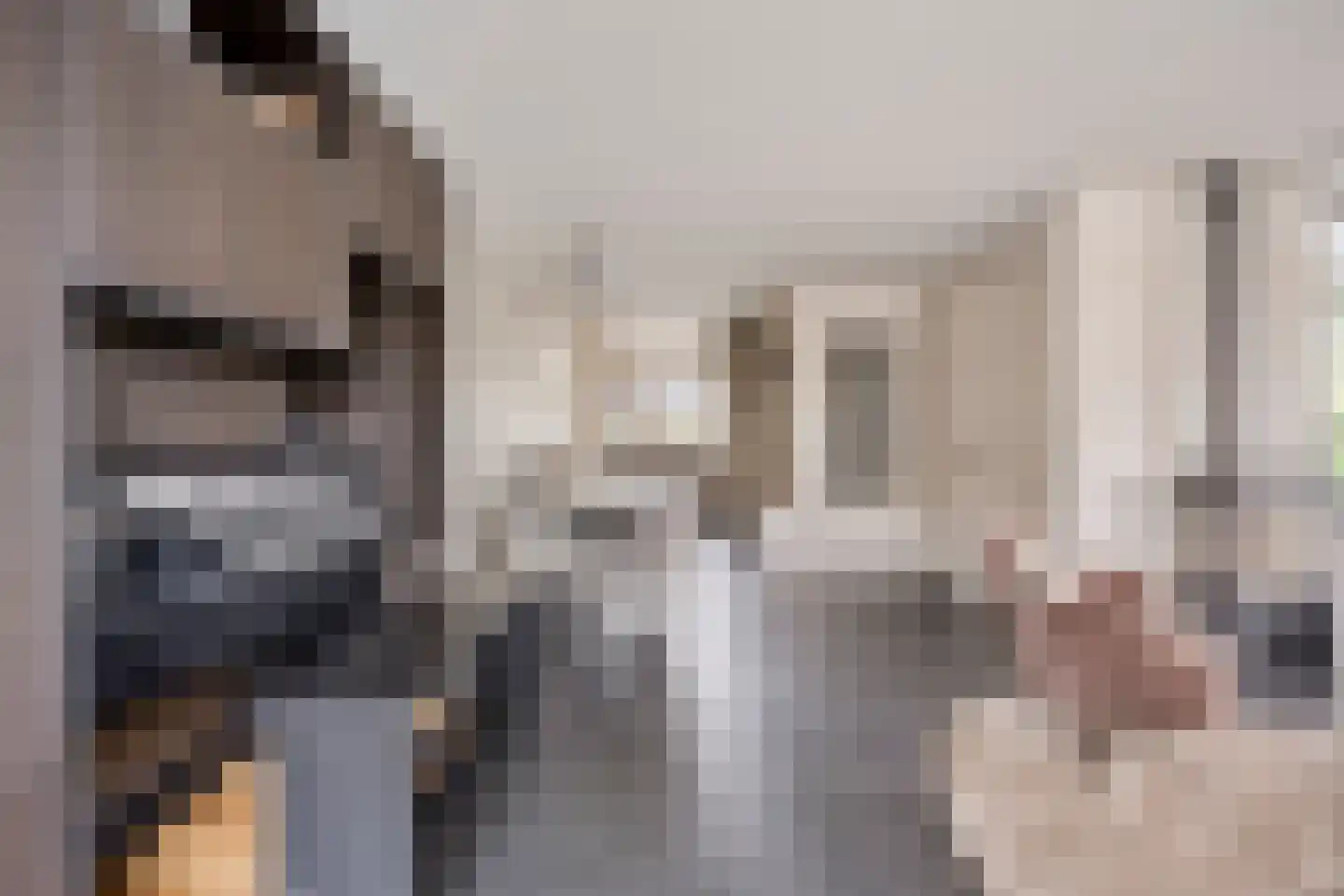 Brahmalaan 1 Barneveld thumbnail 15