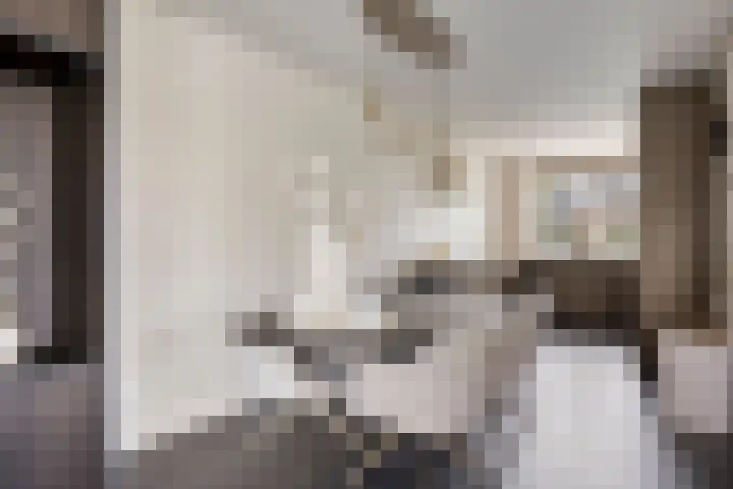 Brahmalaan 1 Barneveld thumbnail 18