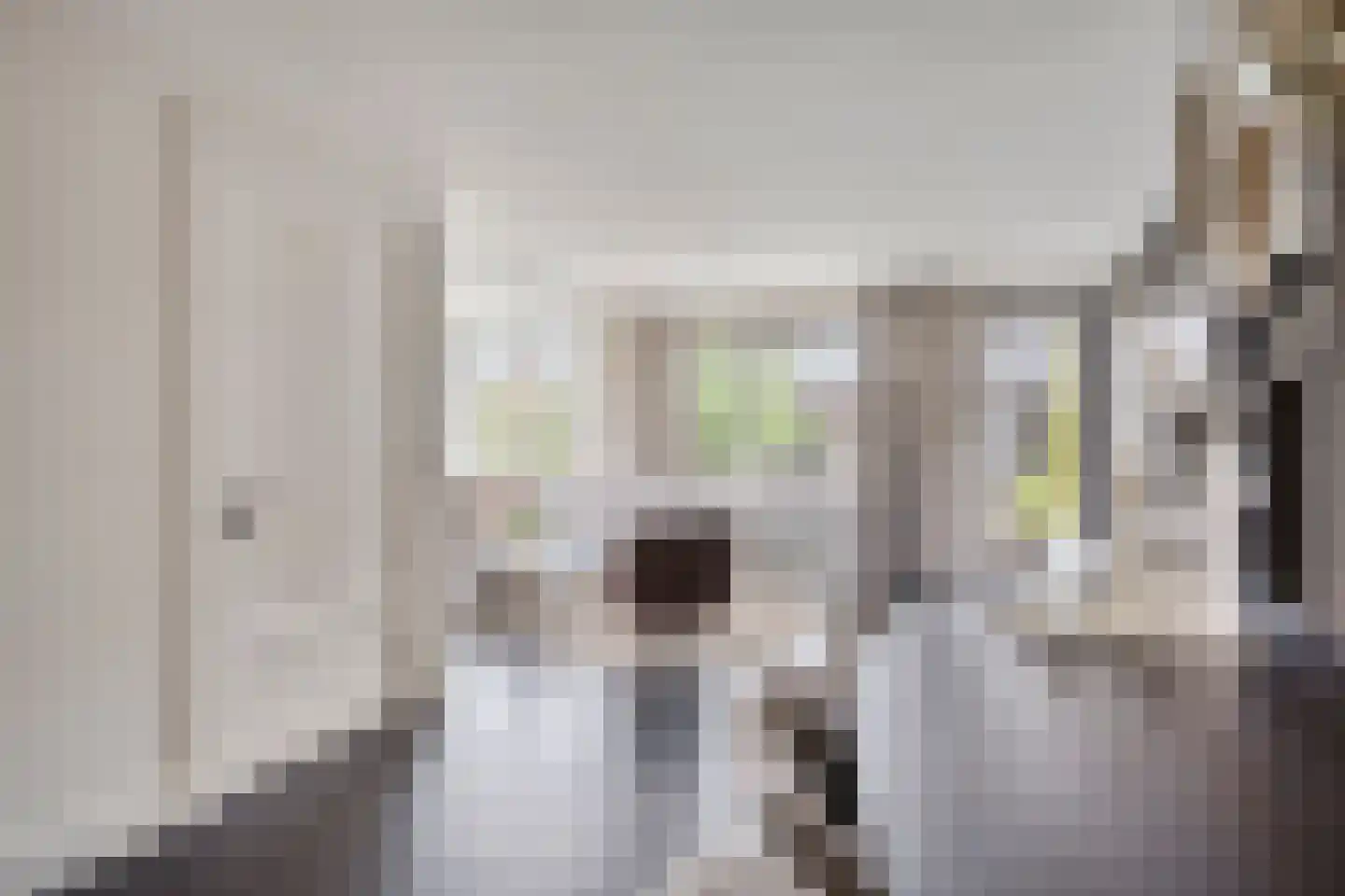 Brahmalaan 1 Barneveld thumbnail 22