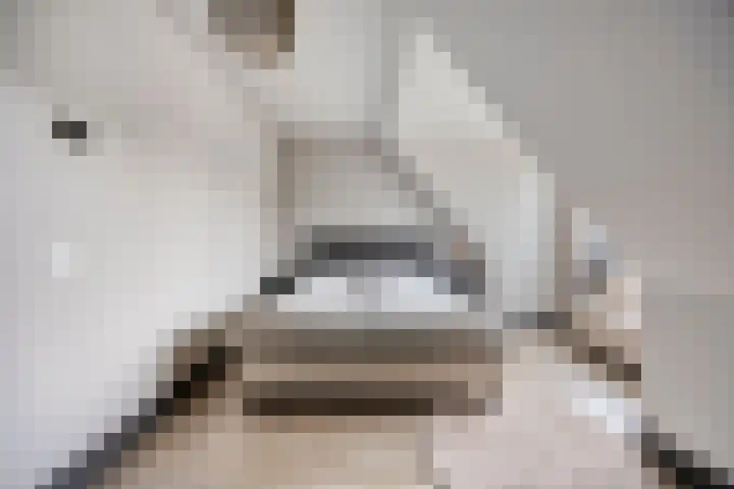 Brahmalaan 1 Barneveld thumbnail 24