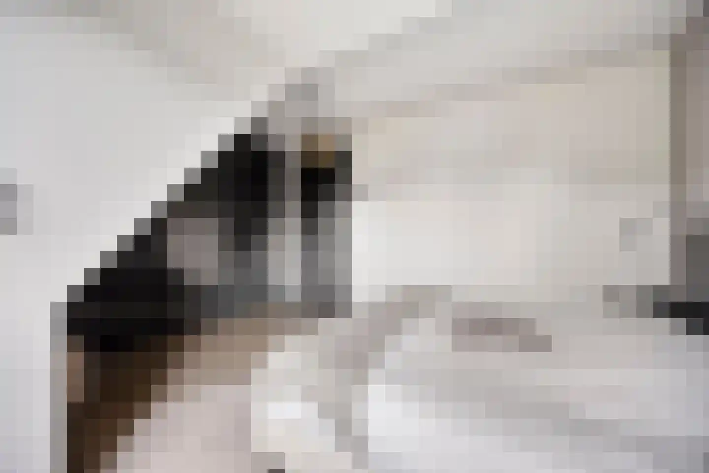Brahmalaan 1 Barneveld thumbnail 26