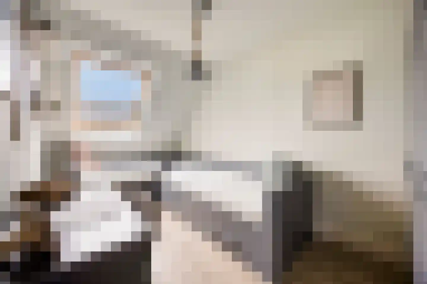 Brahmalaan 1 Barneveld thumbnail 27