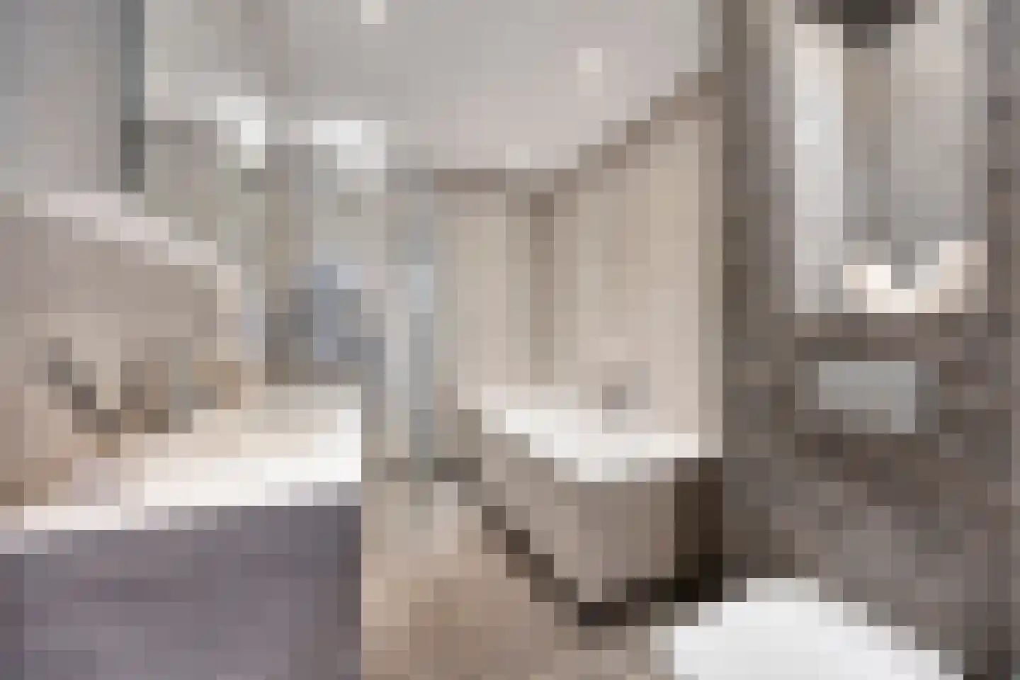Brahmalaan 1 Barneveld thumbnail 29