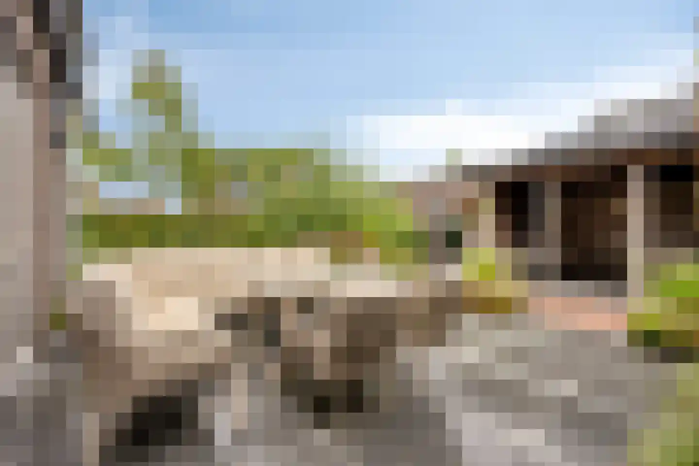 Brahmalaan 1 Barneveld thumbnail 34