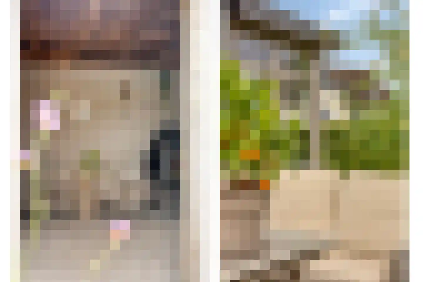 Brahmalaan 1 Barneveld thumbnail 38