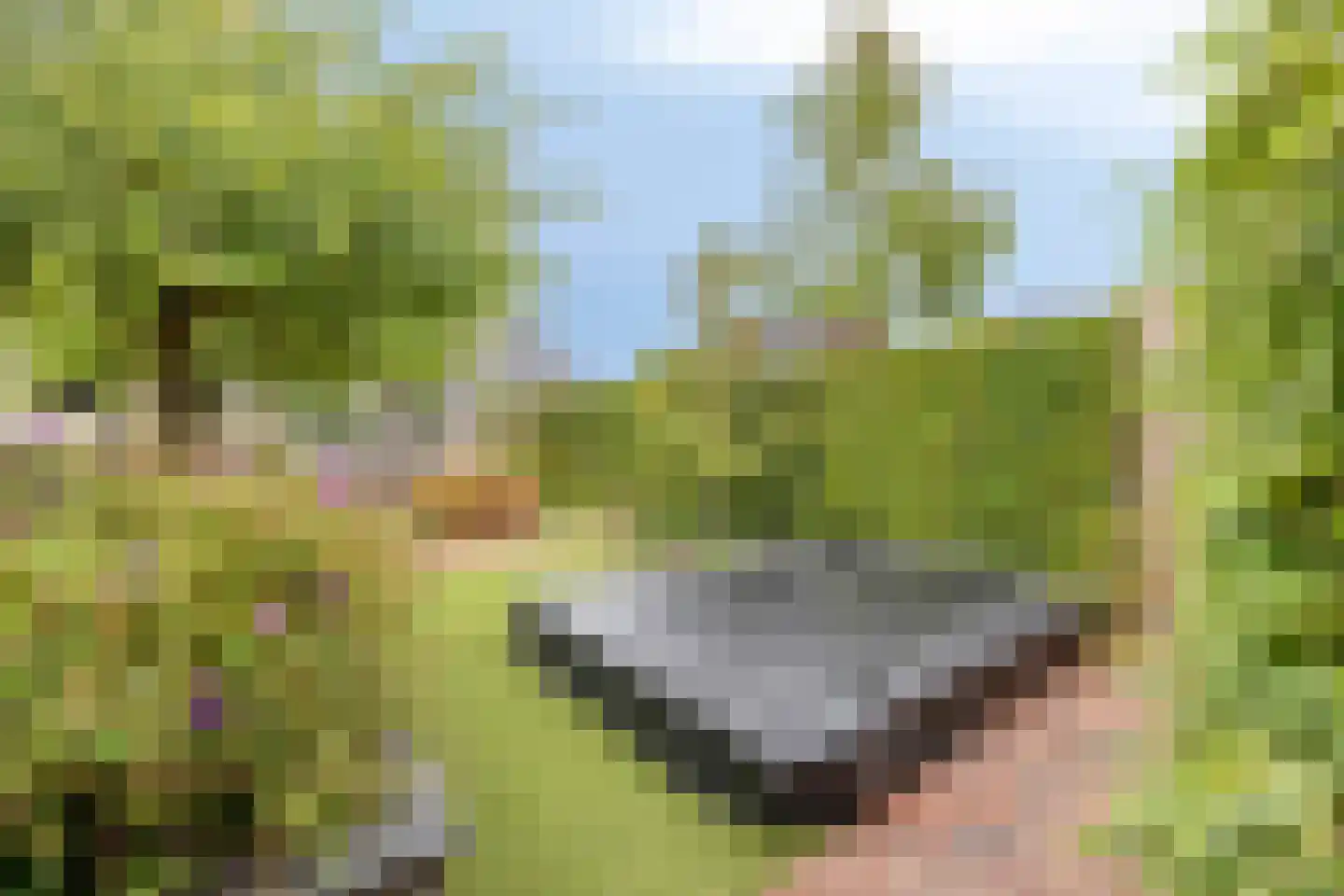 Brahmalaan 1 Barneveld thumbnail 39