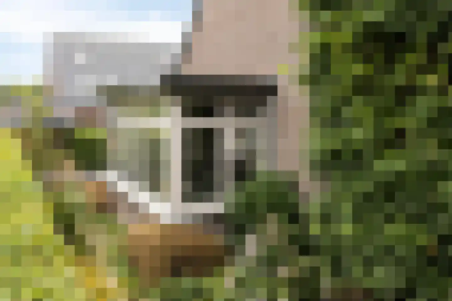 Brahmalaan 1 Barneveld thumbnail 43
