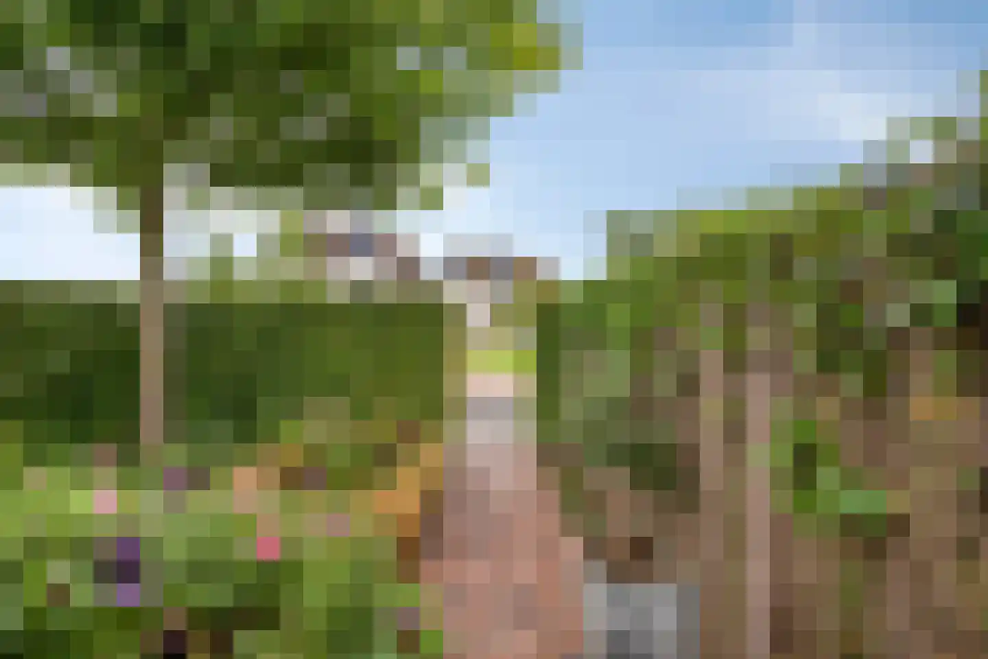 Brahmalaan 1 Barneveld thumbnail 8