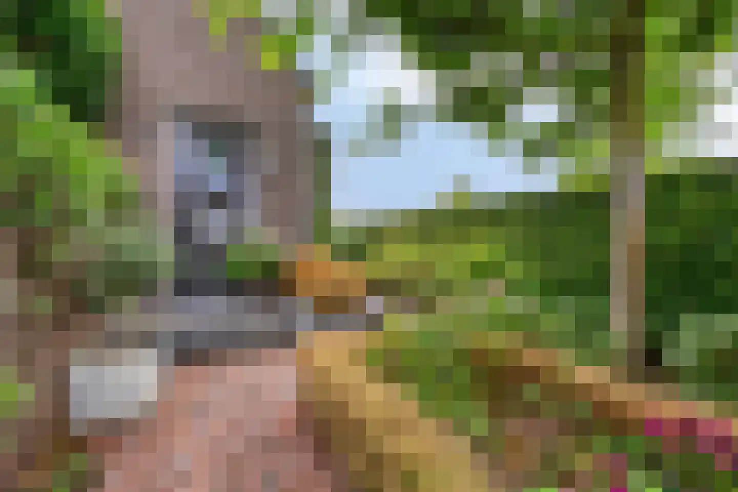 Brahmalaan 1 Barneveld thumbnail 9