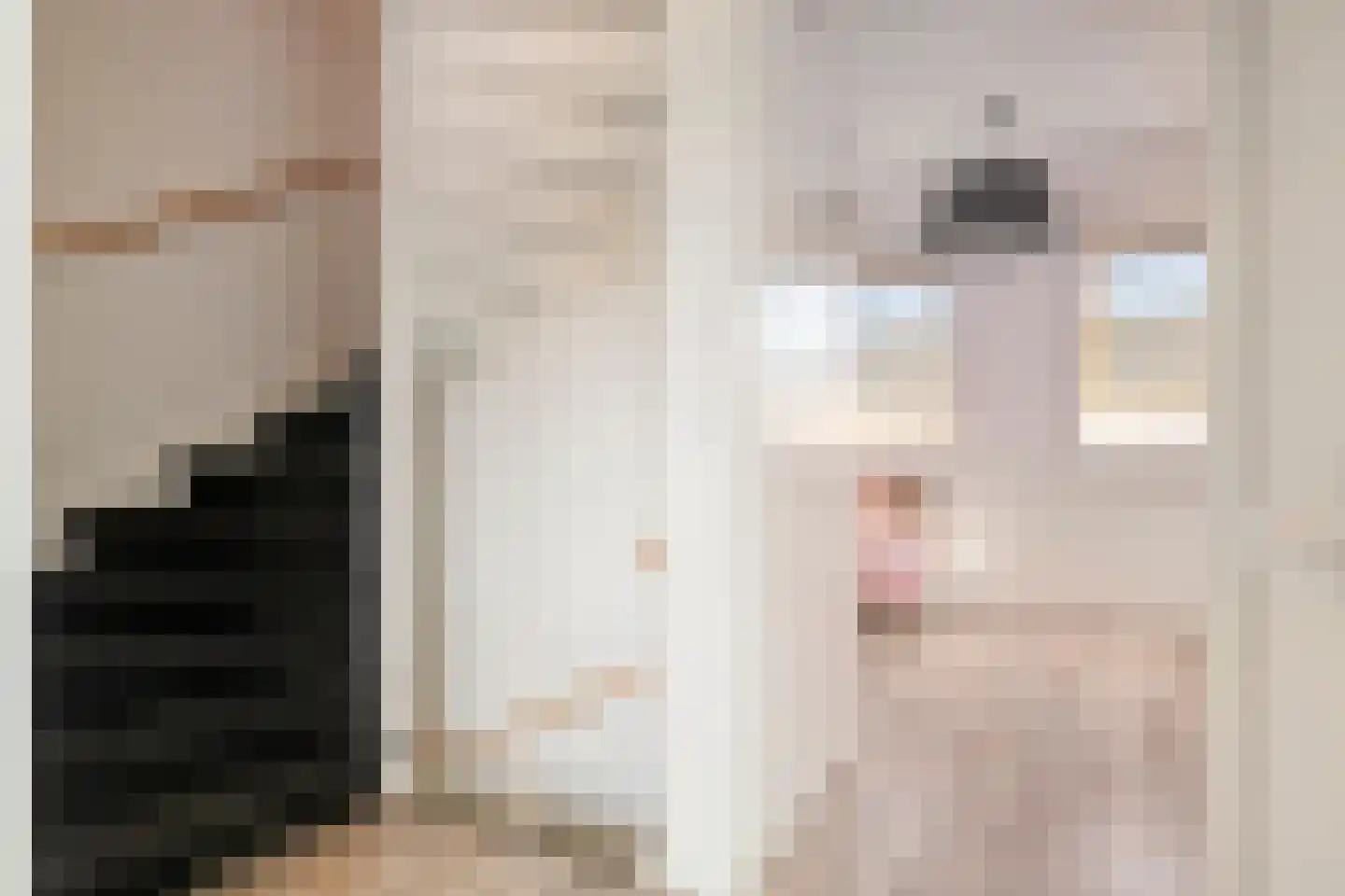 Brahmalaan 12 Barneveld thumbnail 12
