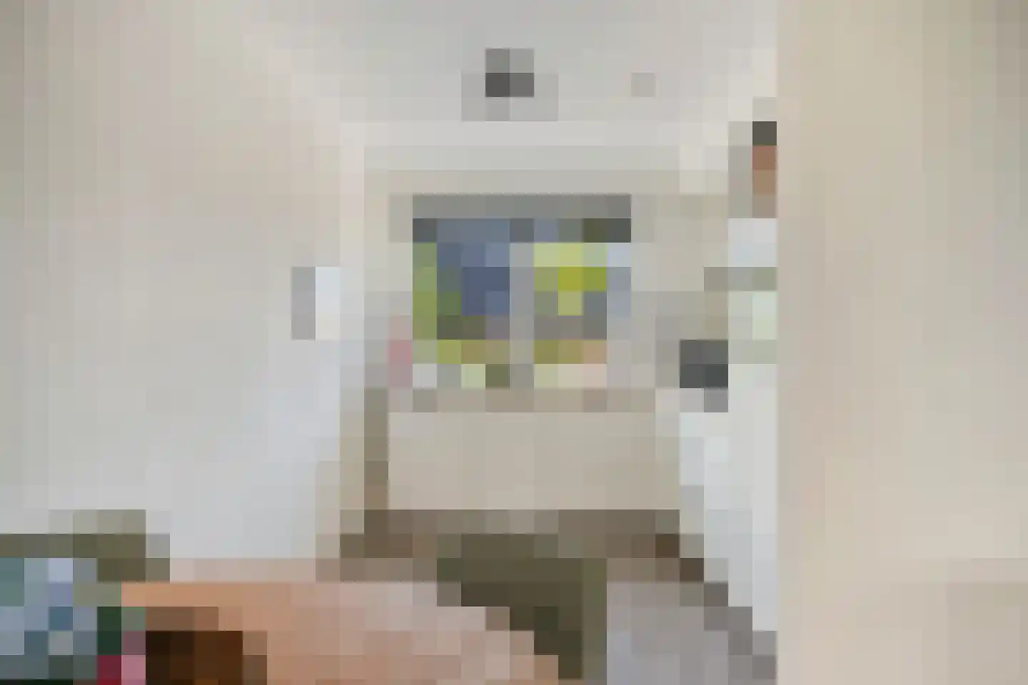 Brahmalaan 12 Barneveld thumbnail 9