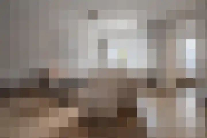 Brahmalaan 14 Barneveld thumbnail 13