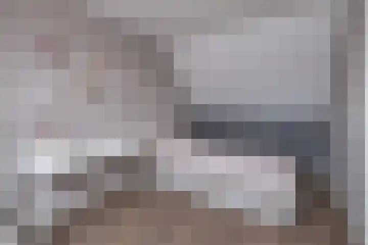 Brahmalaan 14 Barneveld thumbnail 30