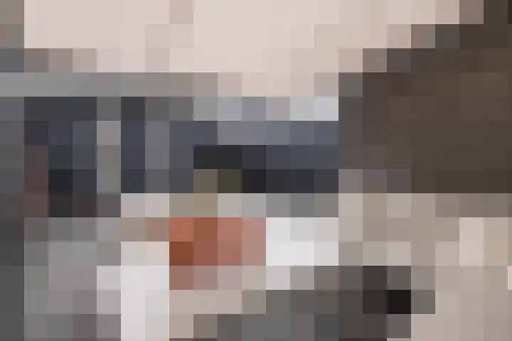 Brahmalaan 14 Barneveld thumbnail 34