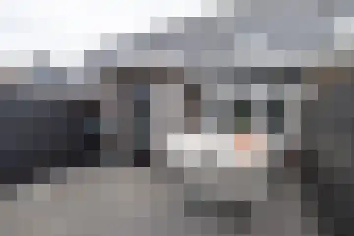 Brahmalaan 14 Barneveld thumbnail 39