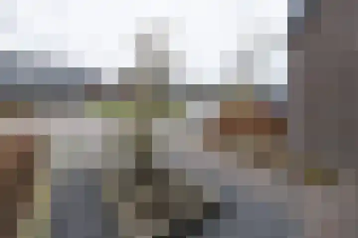 Brahmalaan 14 Barneveld thumbnail 44