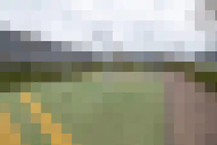 Brahmalaan 14 Barneveld thumbnail 48