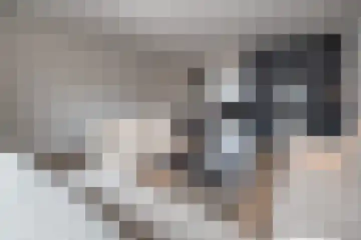 Brahmalaan 14 Barneveld thumbnail 5