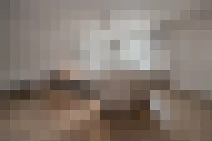Brahmalaan 14 Barneveld thumbnail 6