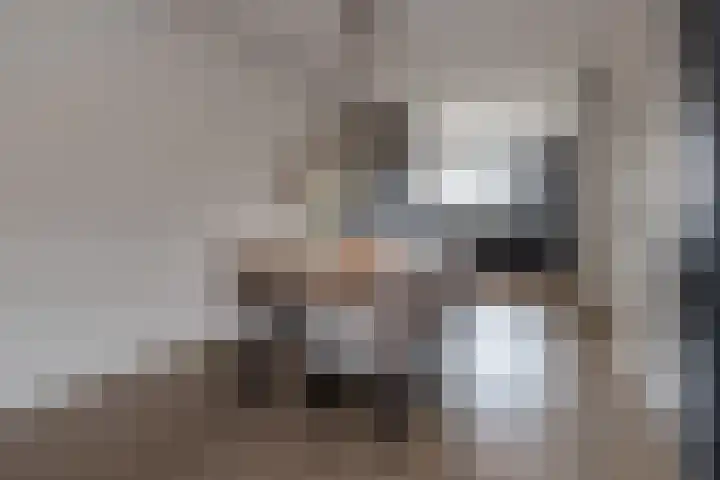 Brahmalaan 14 Barneveld thumbnail 8