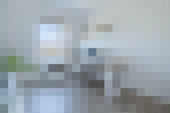 Brahmalaan 25 Barneveld thumbnail 23