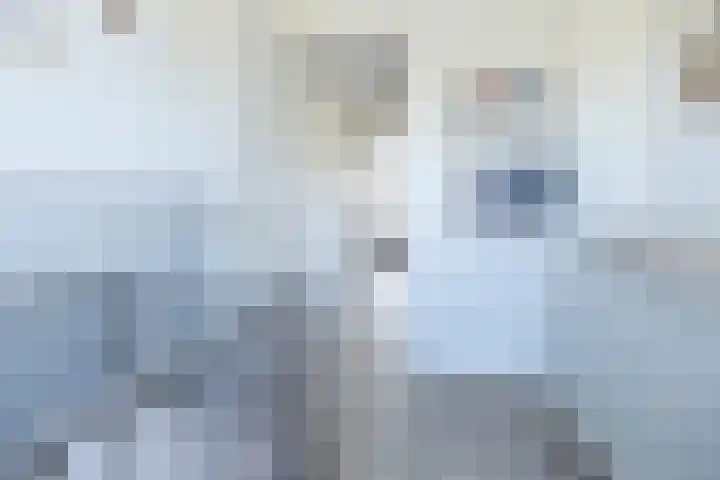 Brahmalaan 25 Barneveld thumbnail 26