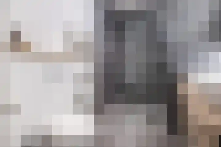 Brahmalaan 25 Barneveld thumbnail 27