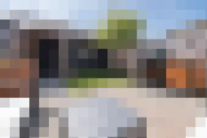Brahmalaan 25 Barneveld thumbnail 38