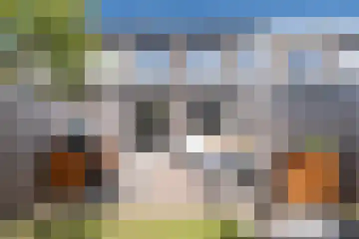 Brahmalaan 25 Barneveld thumbnail 39