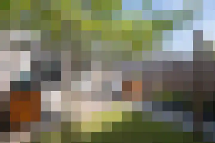 Brahmalaan 25 Barneveld thumbnail 41