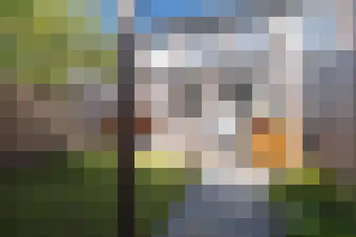 Brahmalaan 25 Barneveld thumbnail 42