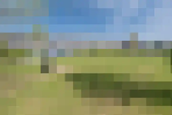 Brahmalaan 25 Barneveld thumbnail 50