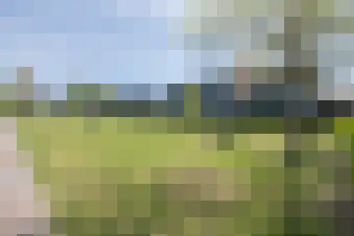 Brahmalaan 25 Barneveld thumbnail 51