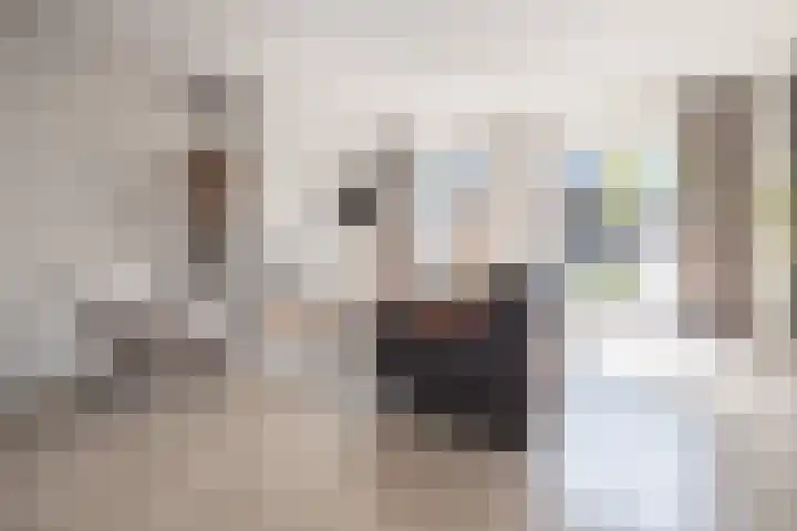 Brahmalaan 25 Barneveld thumbnail 6