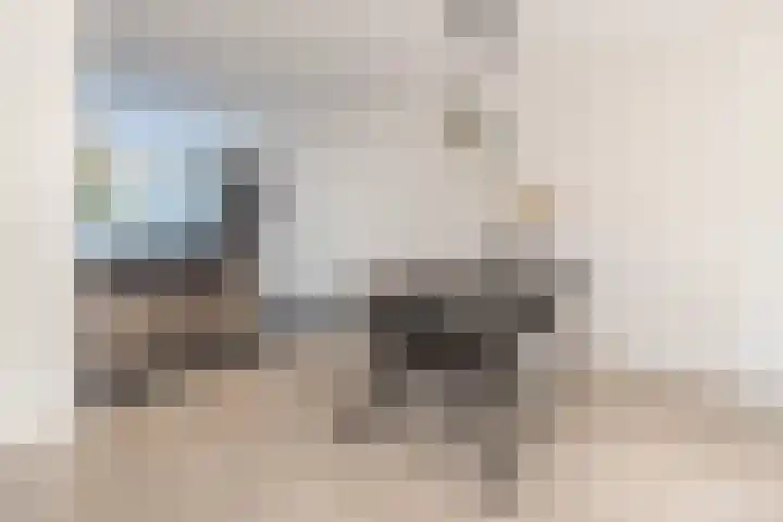 Brahmalaan 25 Barneveld thumbnail 8
