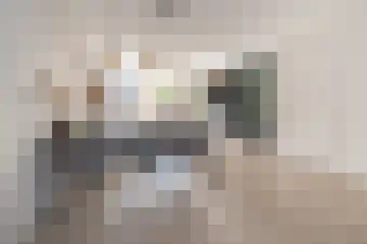Brahmalaan 25 Barneveld thumbnail 9