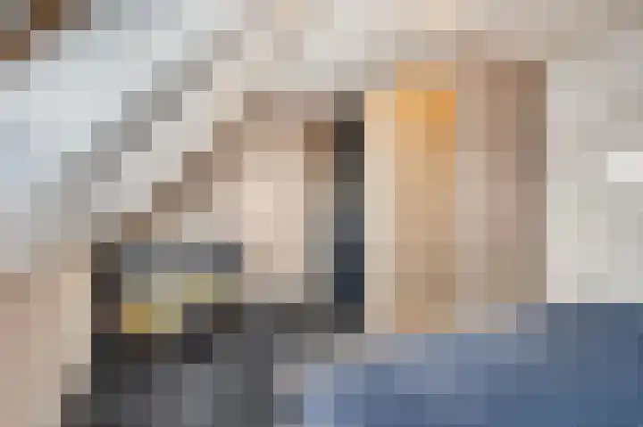 Brahmalaan 59 Barneveld thumbnail 16