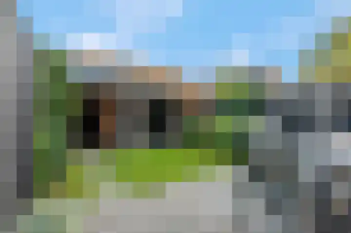 Brahmalaan 59 Barneveld thumbnail 25