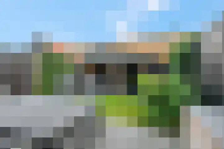 Brahmalaan 59 Barneveld thumbnail 26