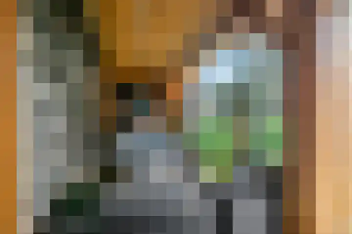 Brahmalaan 59 Barneveld thumbnail 28