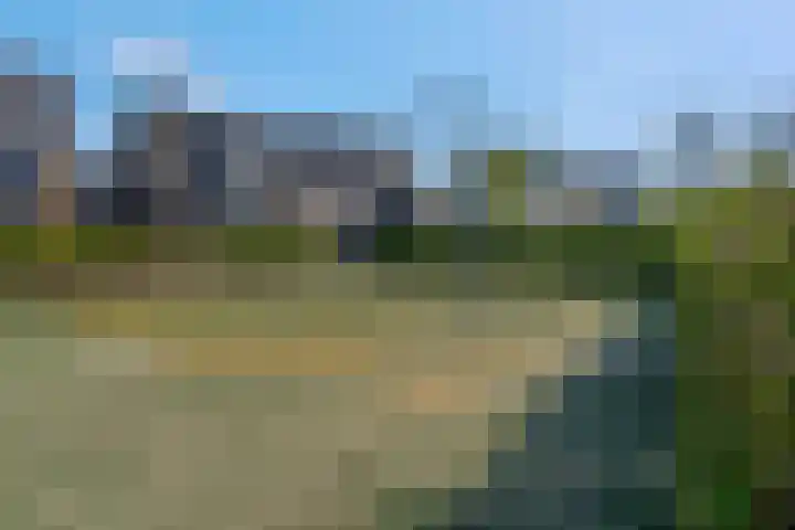 Brahmalaan 59 Barneveld thumbnail 31