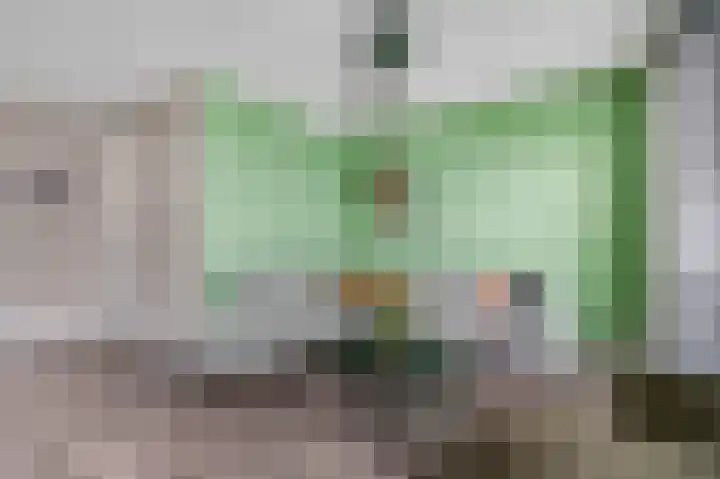 Brahmalaan 61 Barneveld thumbnail 11
