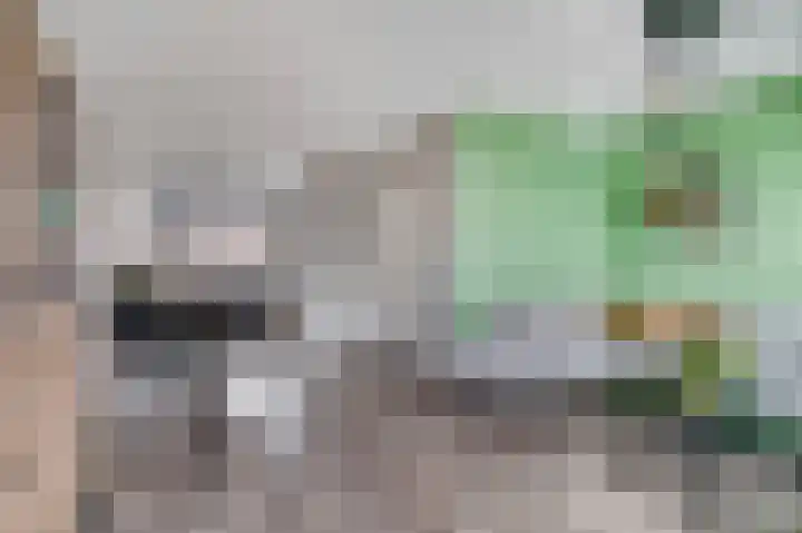 Brahmalaan 61 Barneveld thumbnail 12
