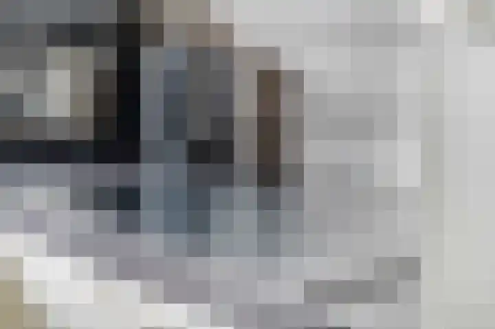 Brahmalaan 61 Barneveld thumbnail 19