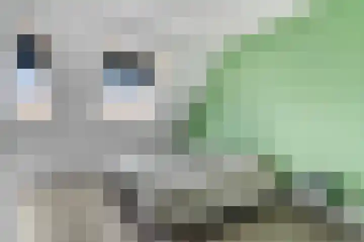 Brahmalaan 61 Barneveld thumbnail 22