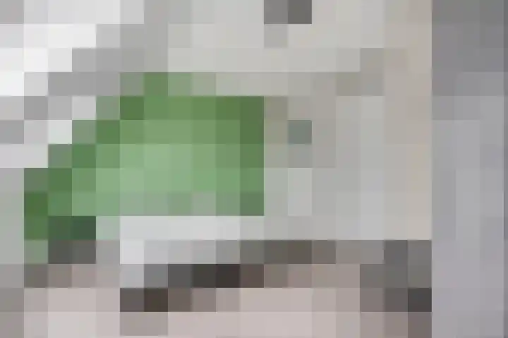Brahmalaan 61 Barneveld thumbnail 23