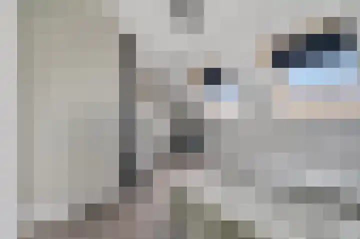 Brahmalaan 61 Barneveld thumbnail 25