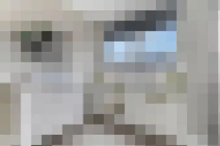 Brahmalaan 61 Barneveld thumbnail 26