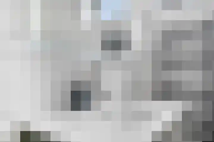 Brahmalaan 61 Barneveld thumbnail 31
